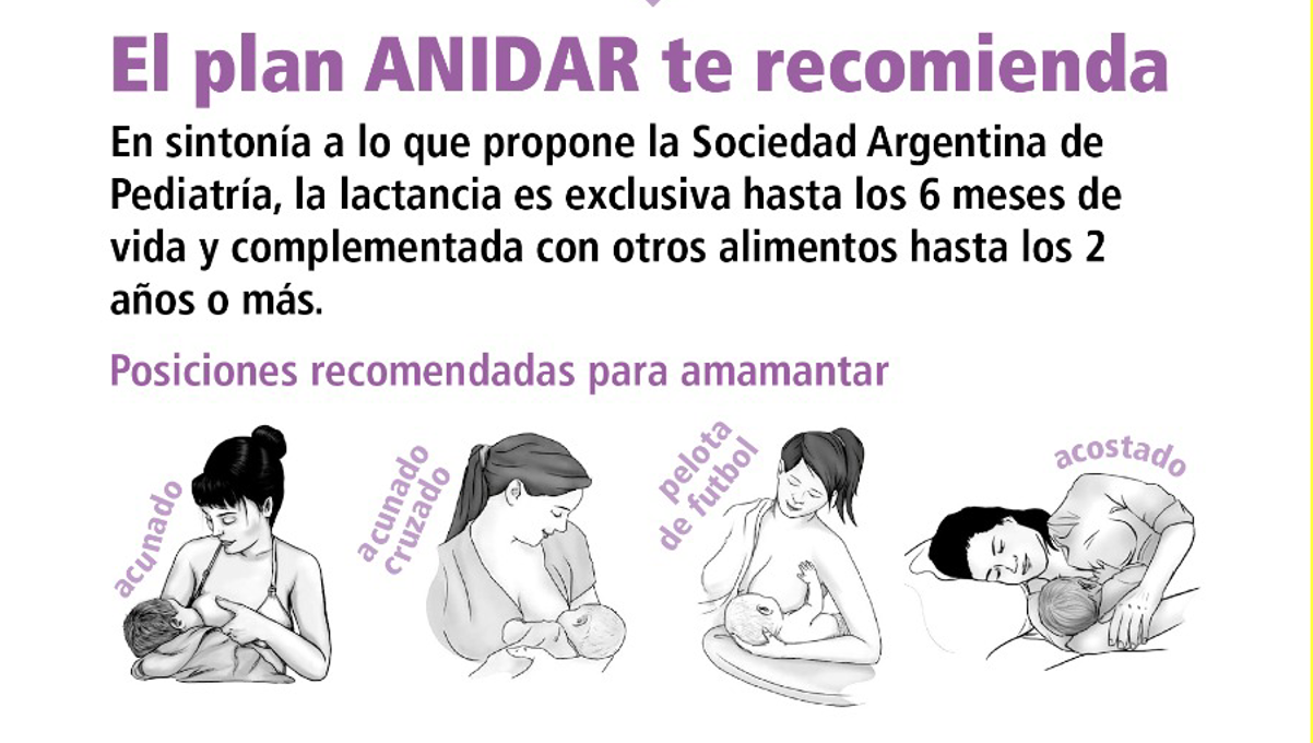 Plan ANIDAR - Posiciones recomendadas para amamantar